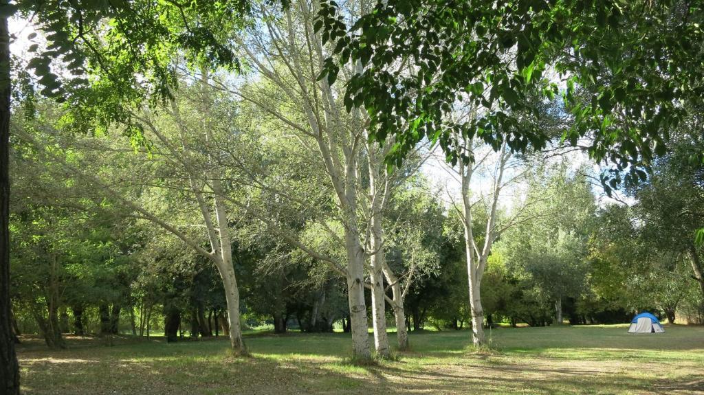 Camping Paradis Bellerive Montfrin 외부 사진