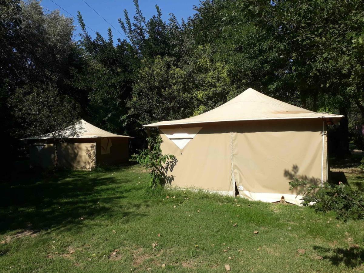Camping Paradis Bellerive Montfrin 외부 사진